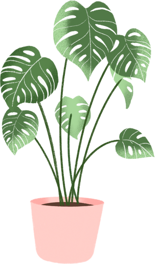 Indoor plant illustration 