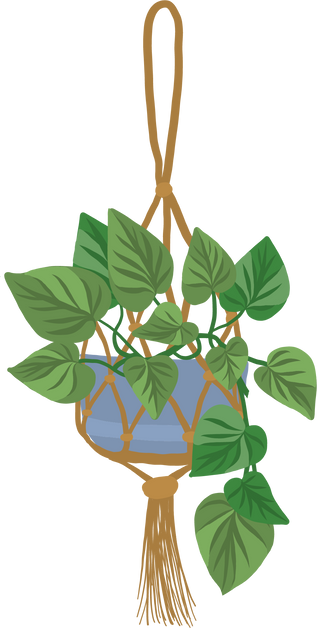 Hanging Plant Illustration