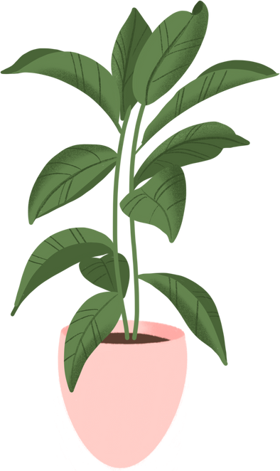 Indoor plant illustration 